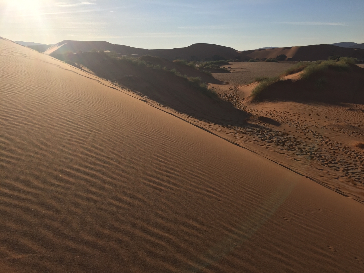 [15592] 2016_06_25_07_50_37_Africa_iPhone_6_IMG_8181_00752.jpg