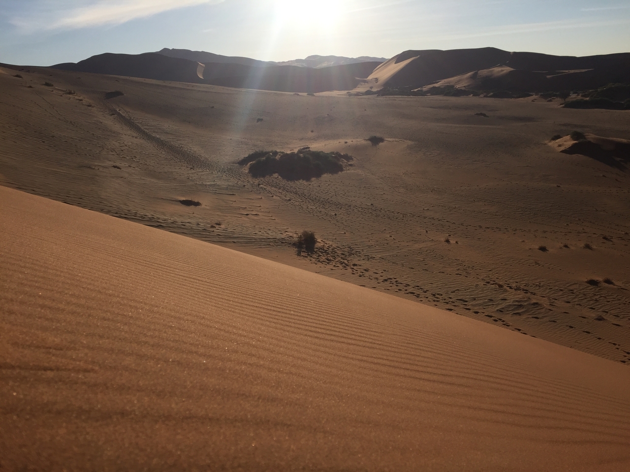 [15597] 2016_06_25_07_53_39_Africa_iPhone_6_IMG_8183_00172.jpg