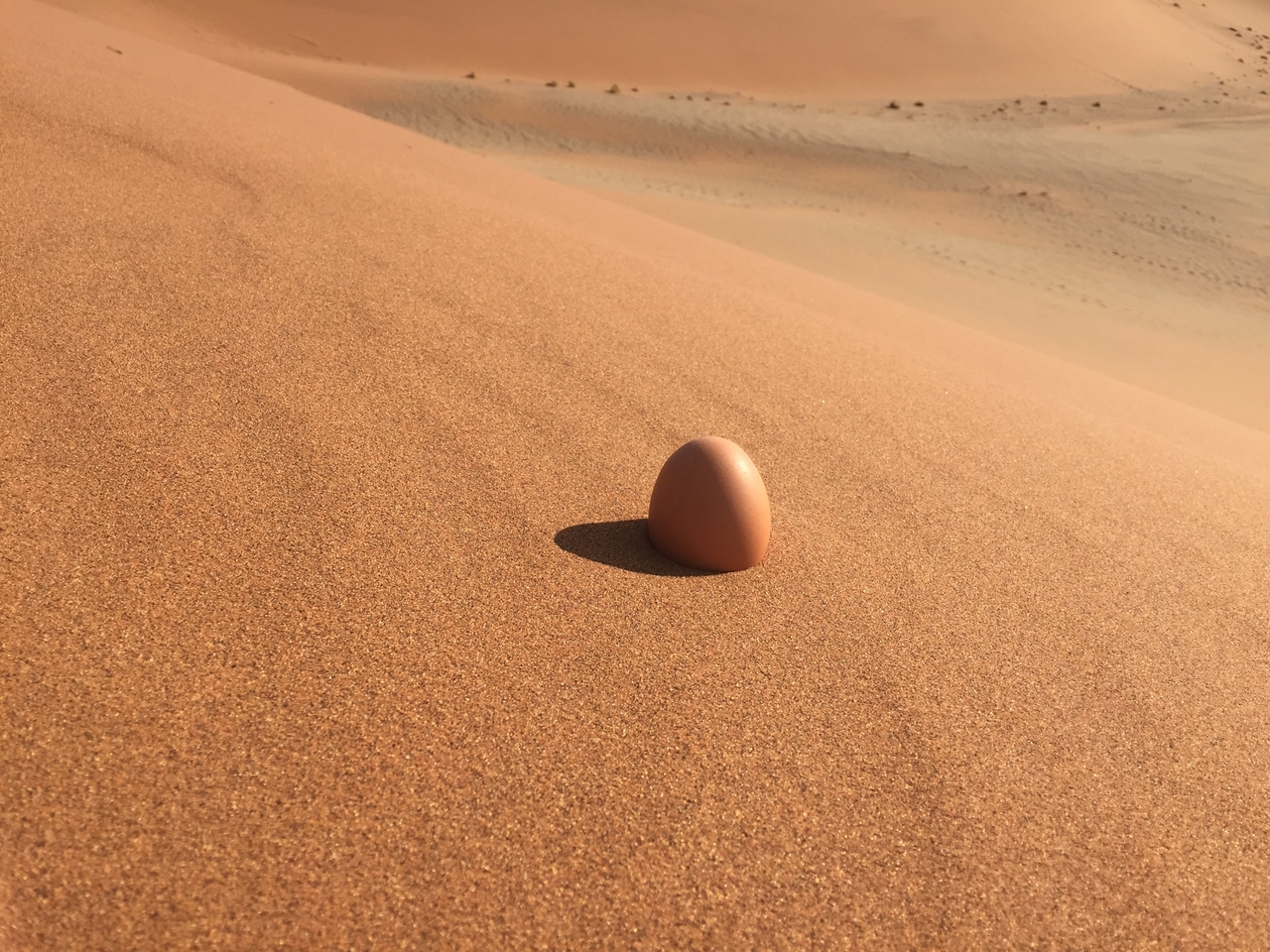 [15694] 2016_06_25_08_25_06_Africa_iPhone_6_IMG_8212_00199.jpg