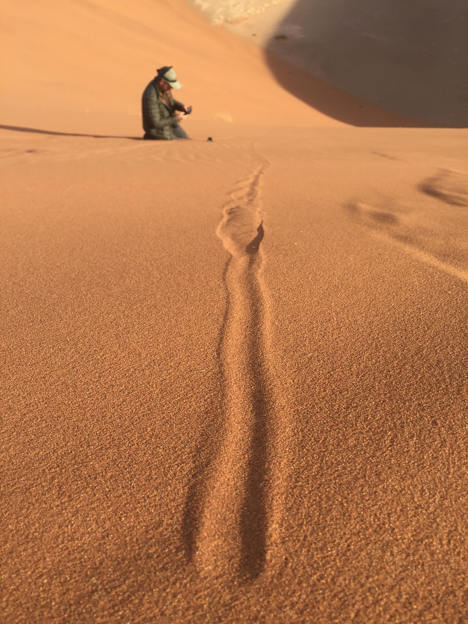 [15707] 2016_06_25_08_31_48_Africa_iPhone_6_IMG_8218_00785.jpg