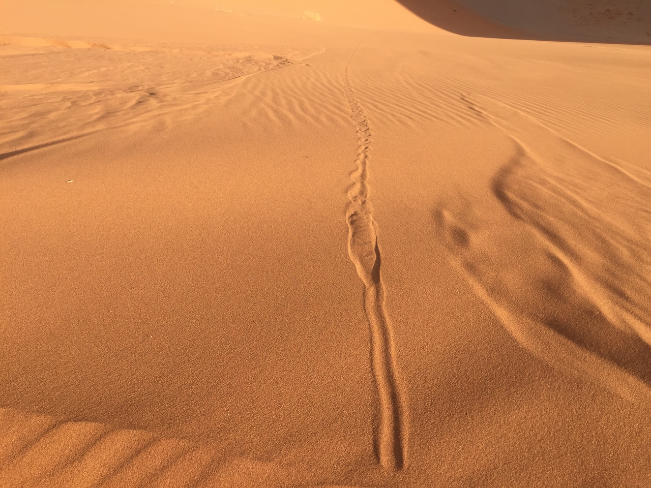 [15715] 2016_06_25_08_32_39_Africa_iPhone_6_IMG_8221_00206.jpg