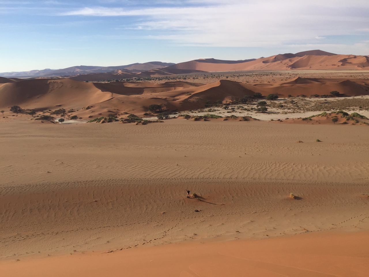 [15753] 2016_06_25_08_43_39_Africa_iPhone_6_IMG_8241_03141.jpg