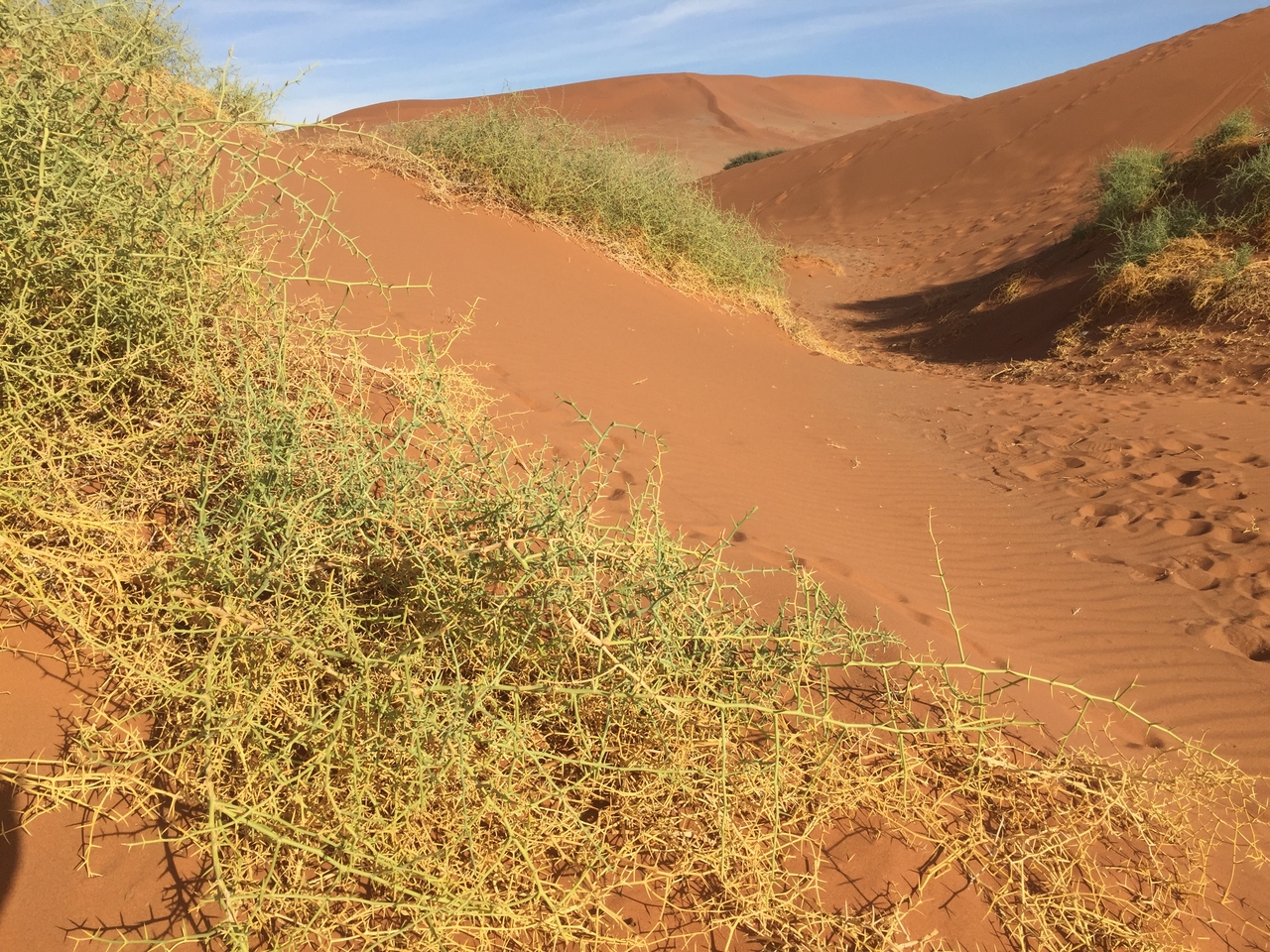 [15771] 2016_06_25_08_56_08_Africa_iPhone_6_IMG_8250_03147.jpg