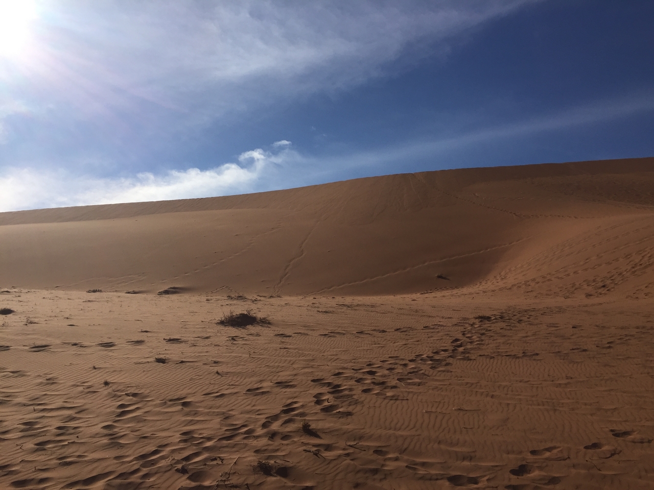 [15974] 2016_06_25_09_41_16_Africa_iPhone_6_IMG_8252_00226.jpg