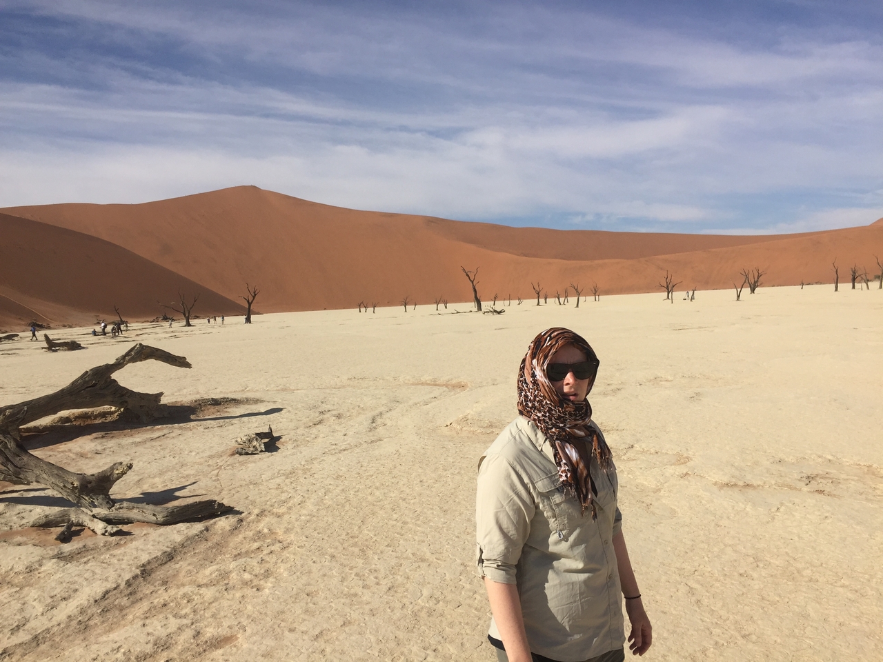 [16022] 2016_06_25_09_51_41_Africa_iPhone_6_IMG_8258_00814.jpg