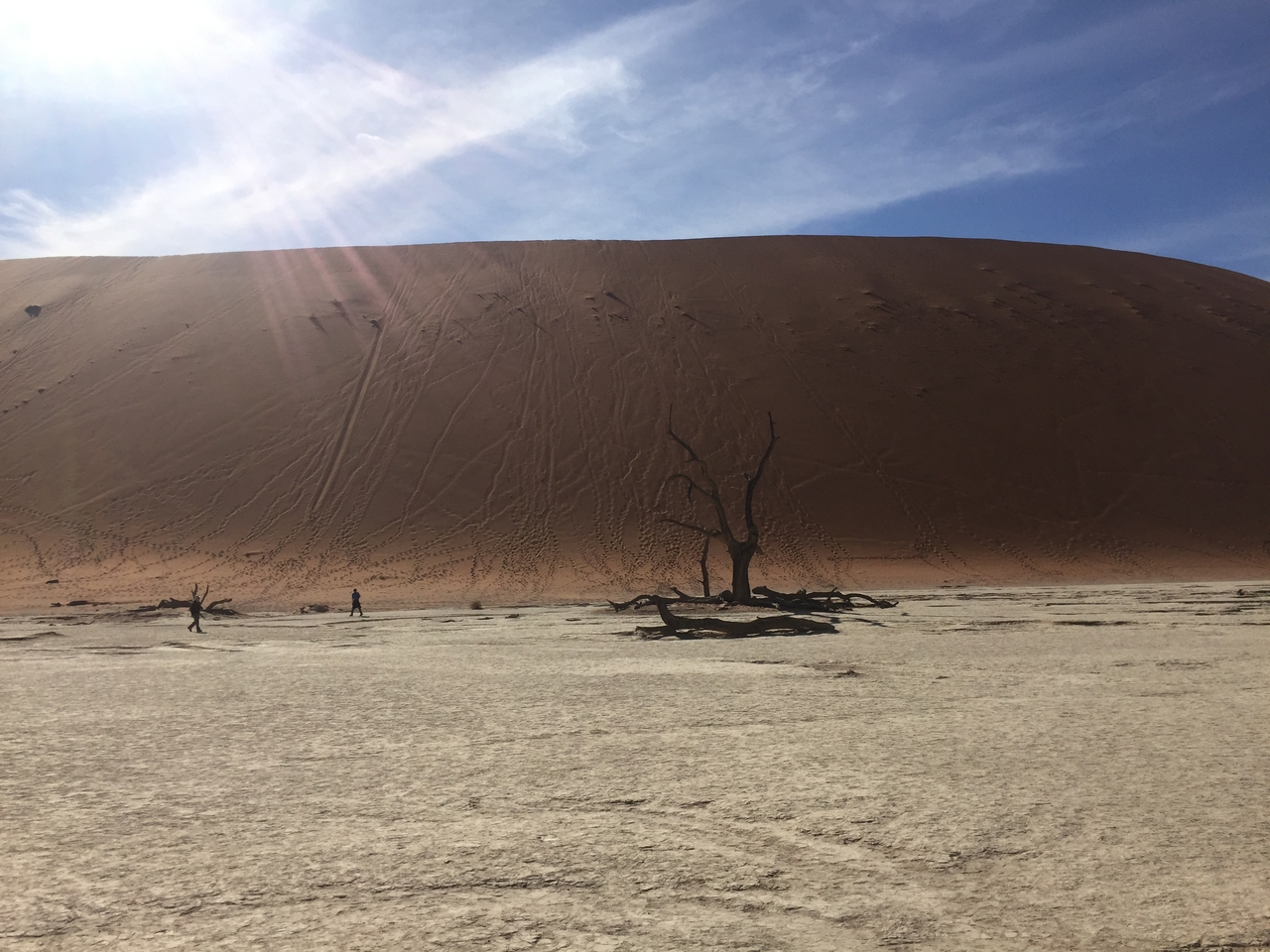 [16026] 2016_06_25_09_52_19_Africa_iPhone_6_IMG_8259_03156.jpg