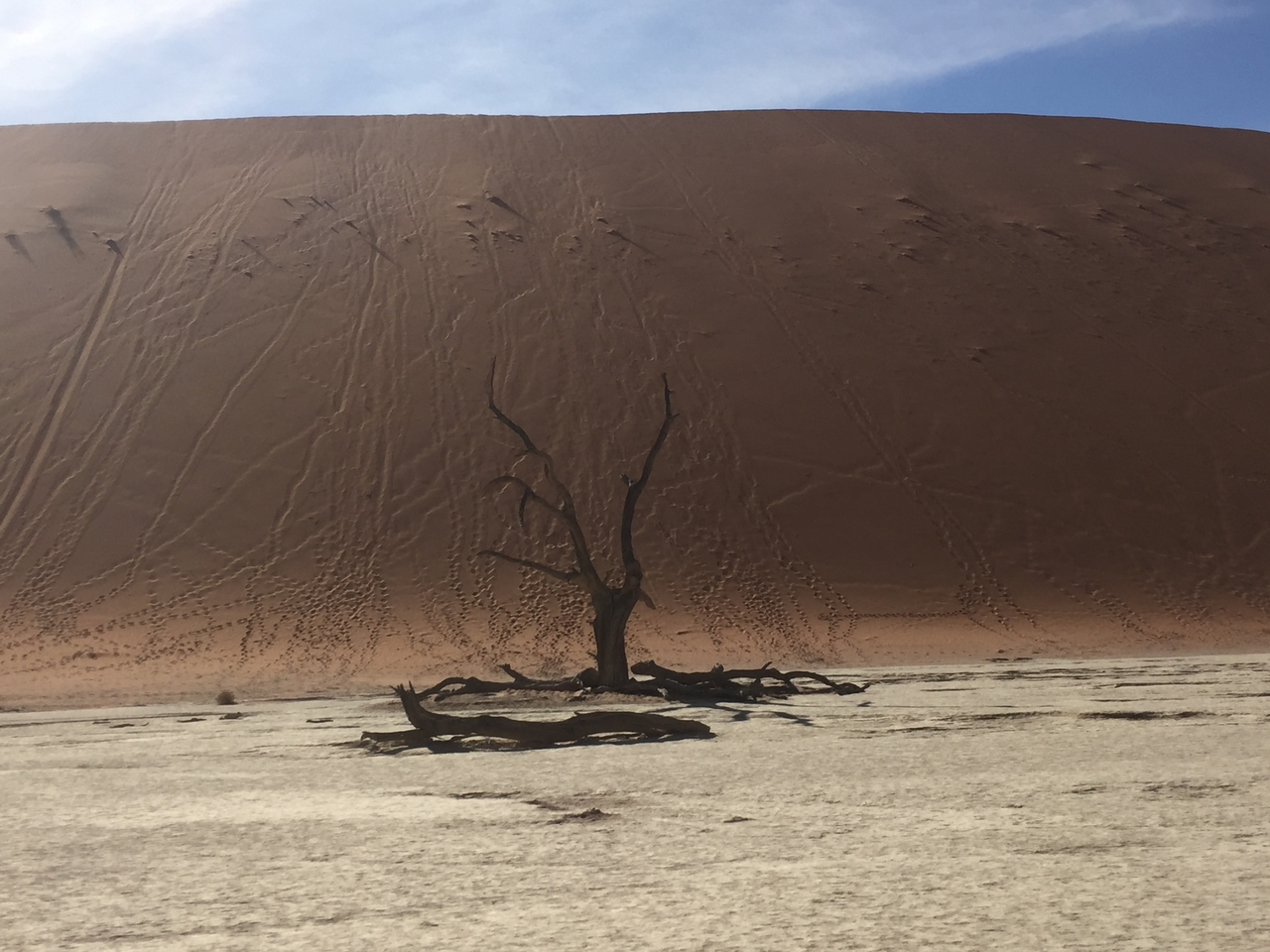 [16027] 2016_06_25_09_52_26_Africa_iPhone_6_IMG_8260_00234.jpg