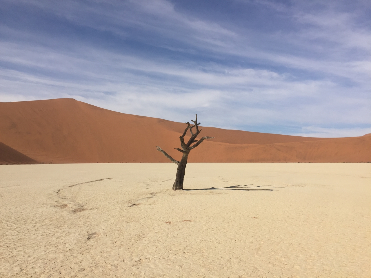 [16105] 2016_06_25_09_58_30_Africa_iPhone_6_IMG_8269_03166.jpg