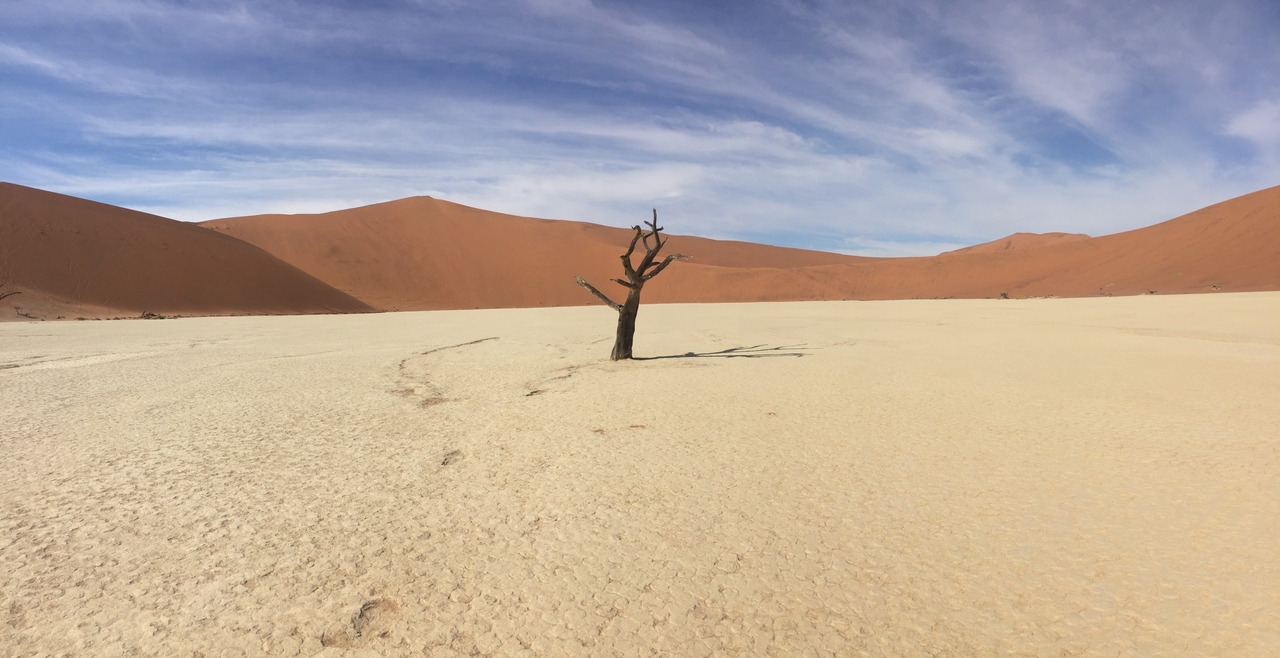 [16109] 2016_06_25_09_58_52_Africa_iPhone_6_IMG_8270_00826.jpg