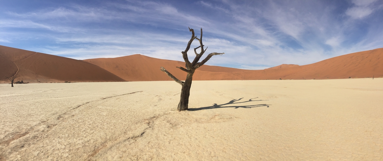 [16114] 2016_06_25_09_59_17_Africa_iPhone_6_IMG_8271_00827.jpg