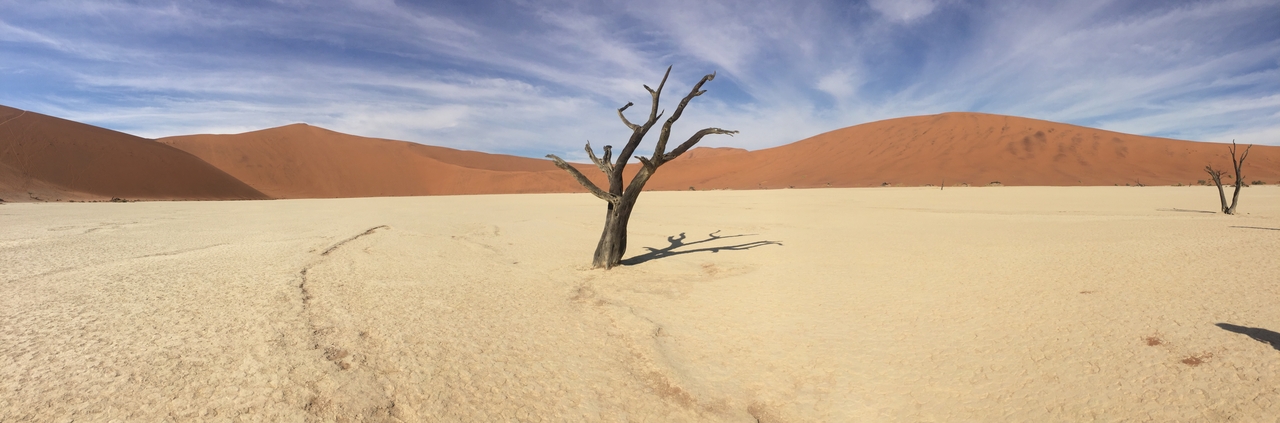 [16124] 2016_06_25_09_59_43_Africa_iPhone_6_IMG_8272_03169.jpg