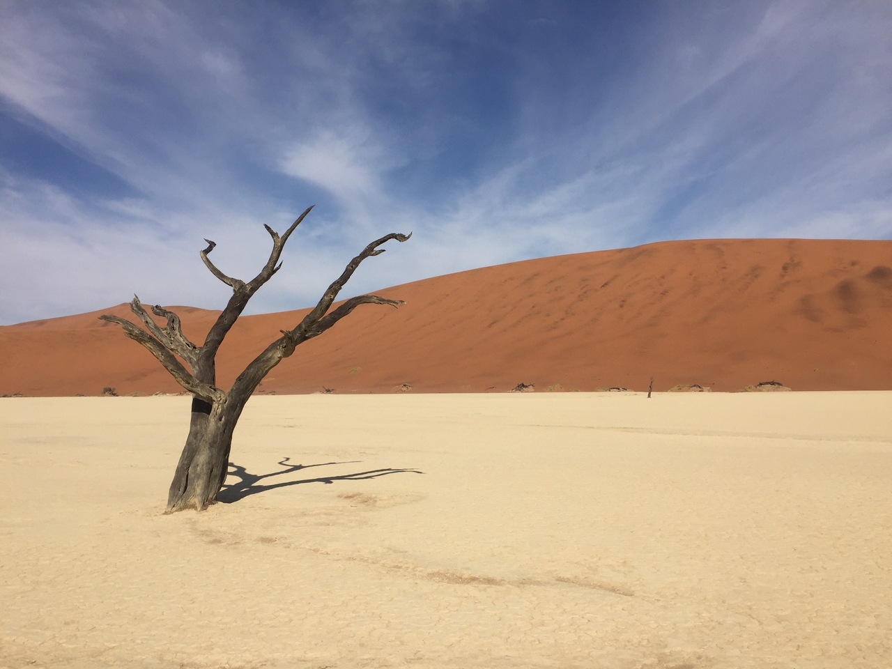 [16170] 2016_06_25_10_04_17_Africa_iPhone_6_IMG_8285_00259.jpg