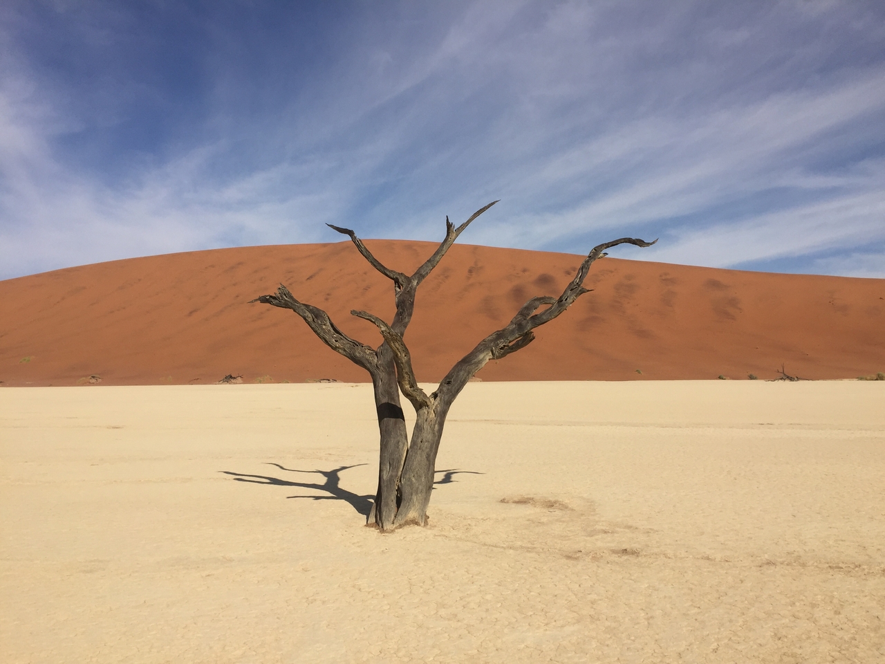 [16179] 2016_06_25_10_04_32_Africa_iPhone_6_IMG_8287_00843.jpg