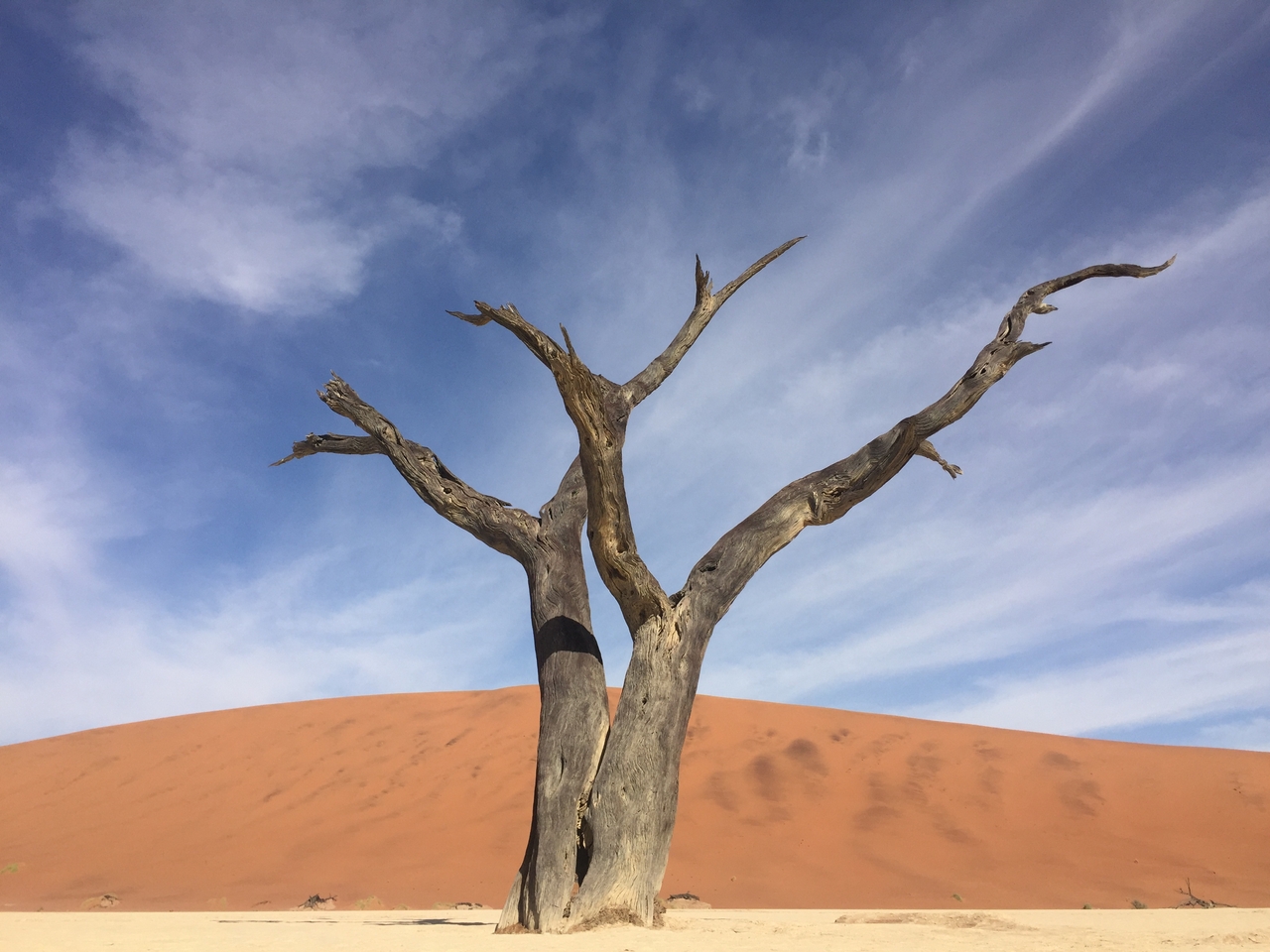 [16181] 2016_06_25_10_04_43_Africa_iPhone_6_IMG_8288_00262.jpg