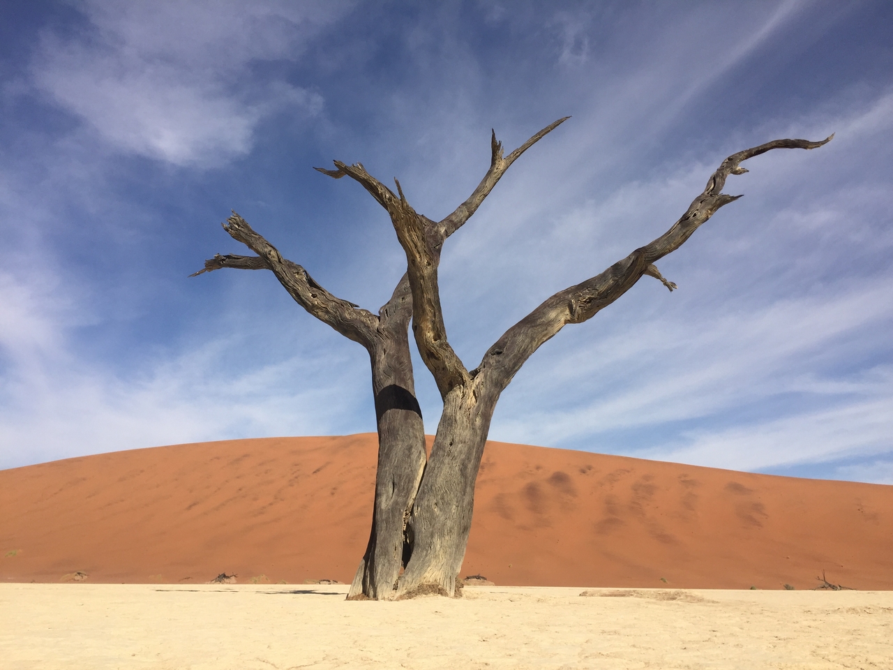 [16186] 2016_06_25_10_04_46_Africa_iPhone_6_IMG_8289_03186.jpg