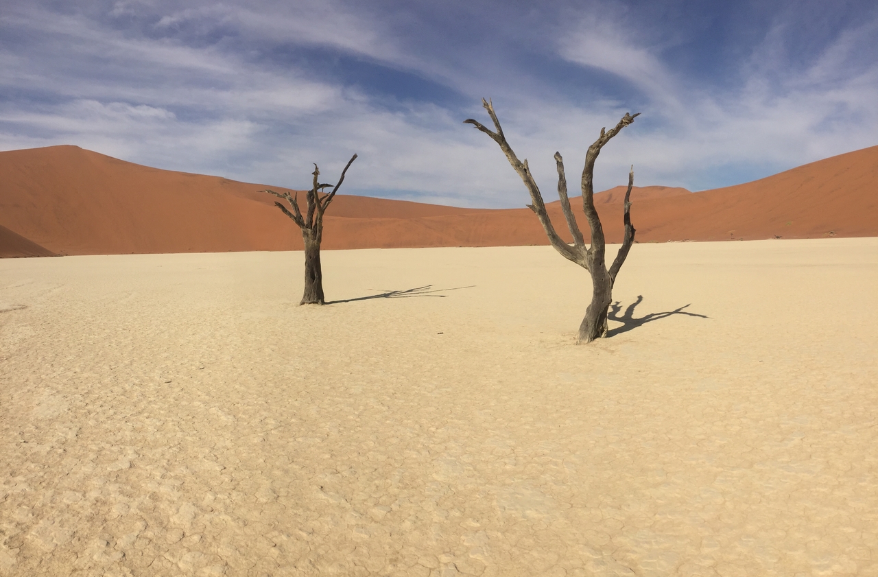 [16198] 2016_06_25_10_11_04_Africa_iPhone_6_IMG_8292_00848.jpg