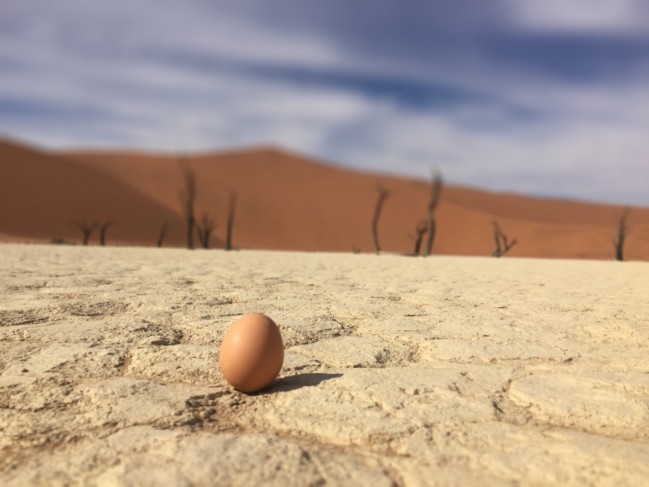 [16215] 2016_06_25_10_20_44_Africa_iPhone_6_IMG_8353_00321.jpg