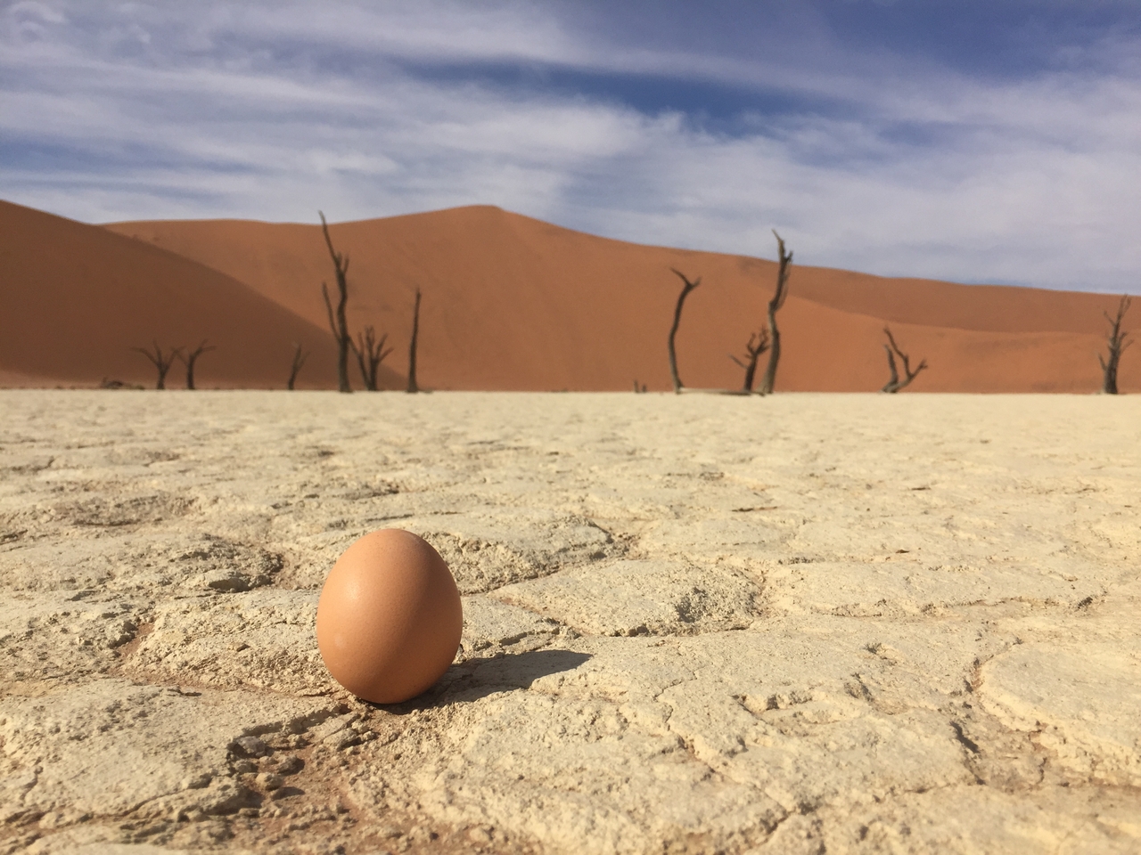 [16225] 2016_06_25_10_21_20_Africa_iPhone_6_IMG_8299_03196.jpg