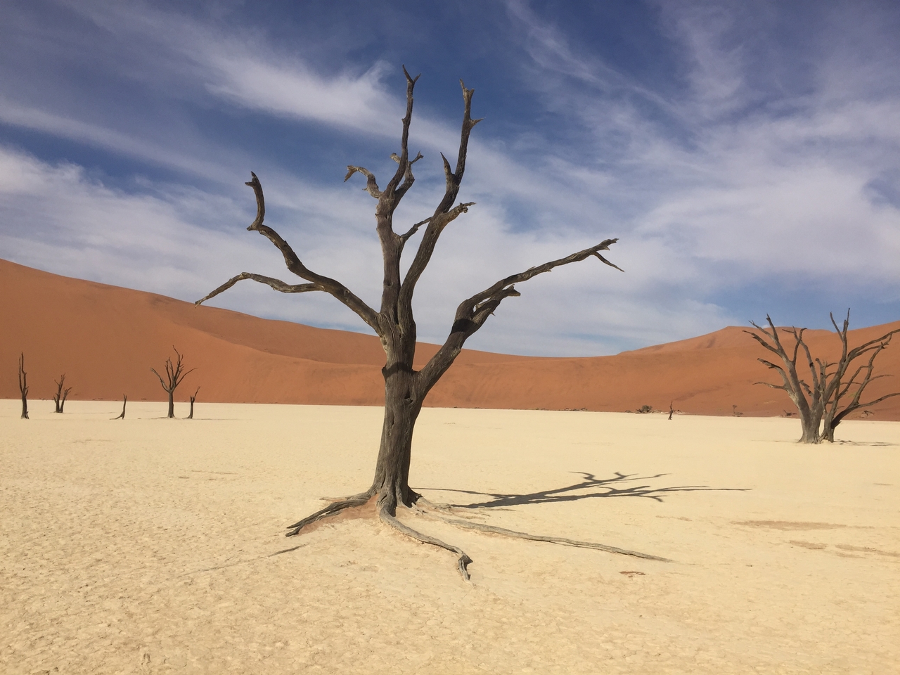 [16233] 2016_06_25_10_22_35_Africa_iPhone_6_IMG_8301_00275.jpg