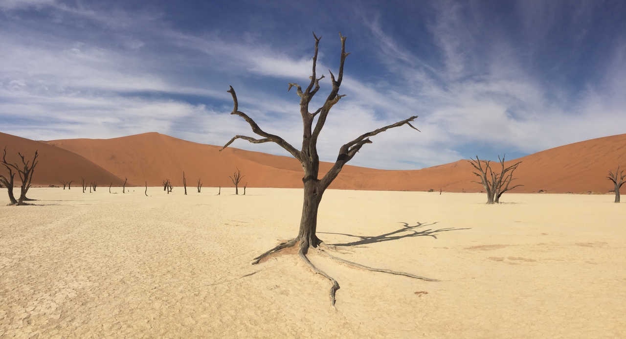 [16238] 2016_06_25_10_22_51_Africa_iPhone_6_IMG_8302_00276.jpg