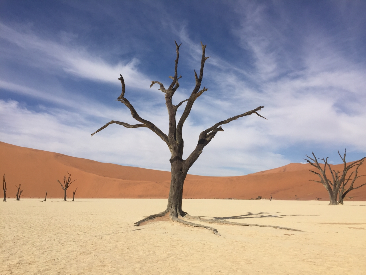 [16246] 2016_06_25_10_23_25_Africa_iPhone_6_IMG_8304_03201.jpg