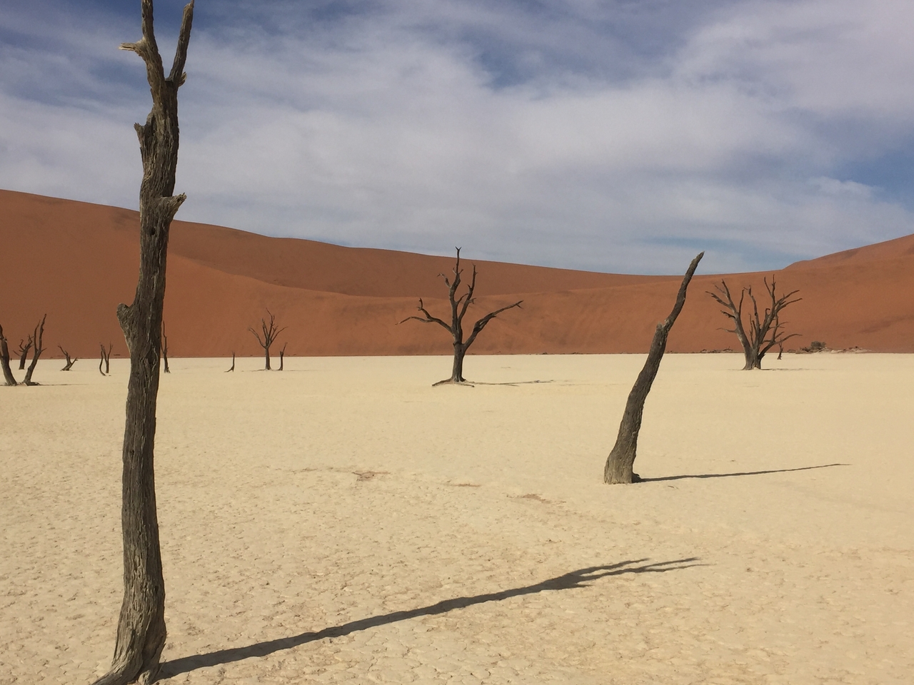 [16258] 2016_06_25_10_26_00_Africa_iPhone_6_IMG_8308_03205.jpg