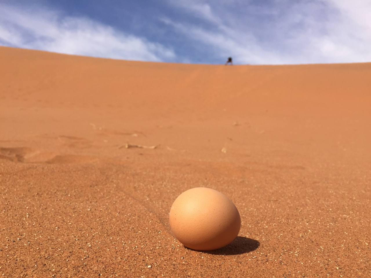 [16259] 2016_06_25_10_41_21_Africa_iPhone_6_IMG_8312_00283.jpg