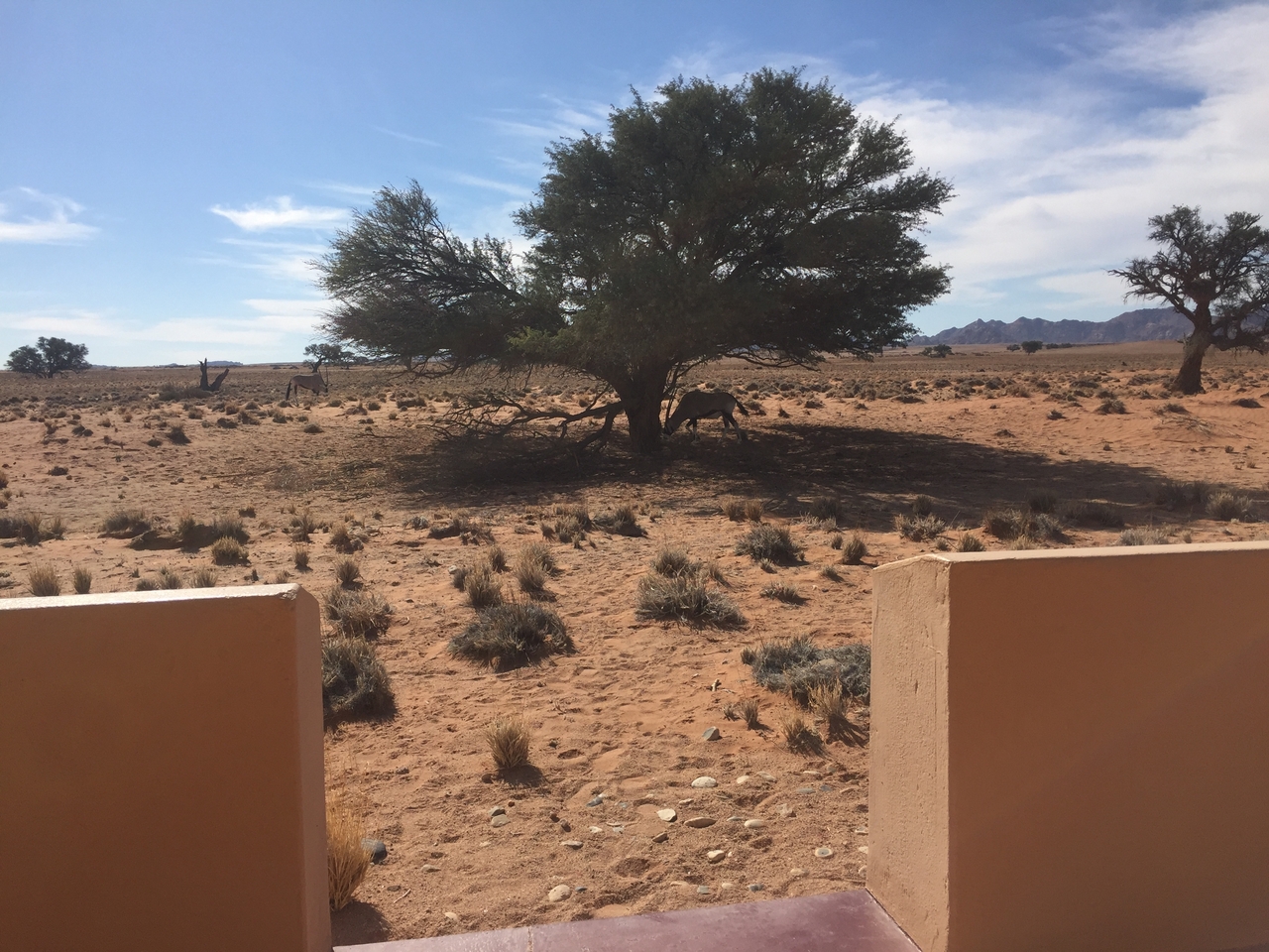 [16323] 2016_06_25_13_38_59_Africa_iPhone_6_IMG_8336_00886.jpg