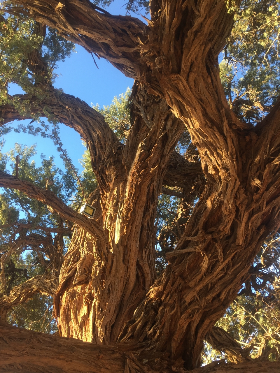 [16376] 2016_06_25_16_34_16_Africa_iPhone_6_IMG_8355_00323.jpg