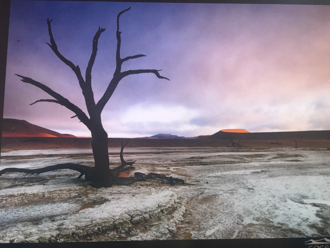 [16428] 2016_06_26_09_17_44_Africa_iPhone_6_IMG_8363_00329.jpg