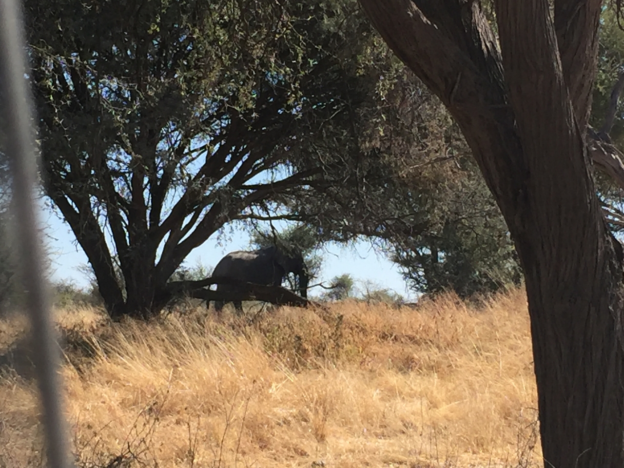 [17163] 2016_06_27_12_17_24_Africa_iPhone_6_IMG_8417_00375.jpg