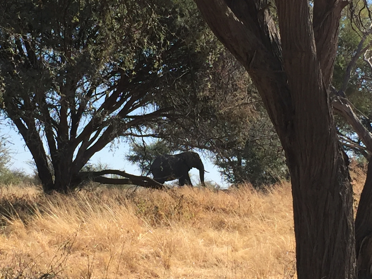 [17167] 2016_06_27_12_17_27_Africa_iPhone_6_IMG_8418_00958.jpg