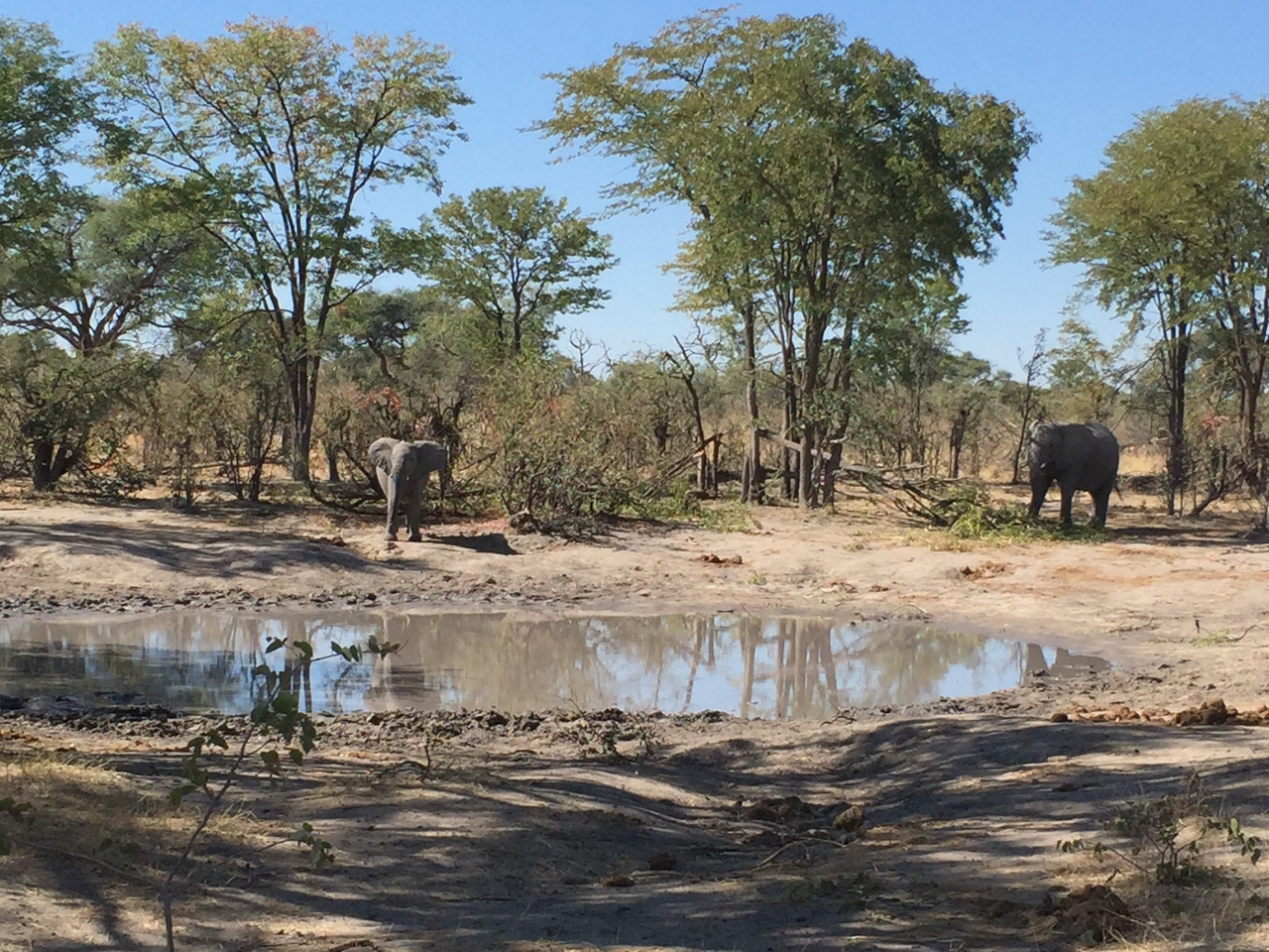 [17208] 2016_06_27_13_51_25_Africa_iPhone_6_IMG_8424_00382.jpg