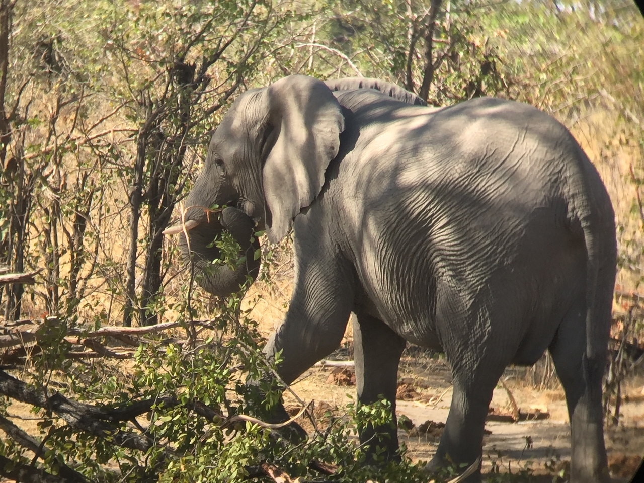 [17211] 2016_06_27_13_52_43_Africa_iPhone_6_IMG_8425_00383.jpg