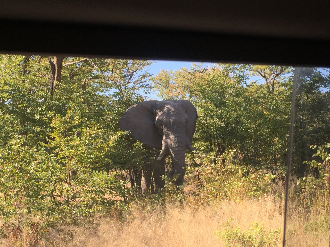 [17277] 2016_06_27_15_17_42_Africa_iPhone_6_IMG_8447_00405.jpg