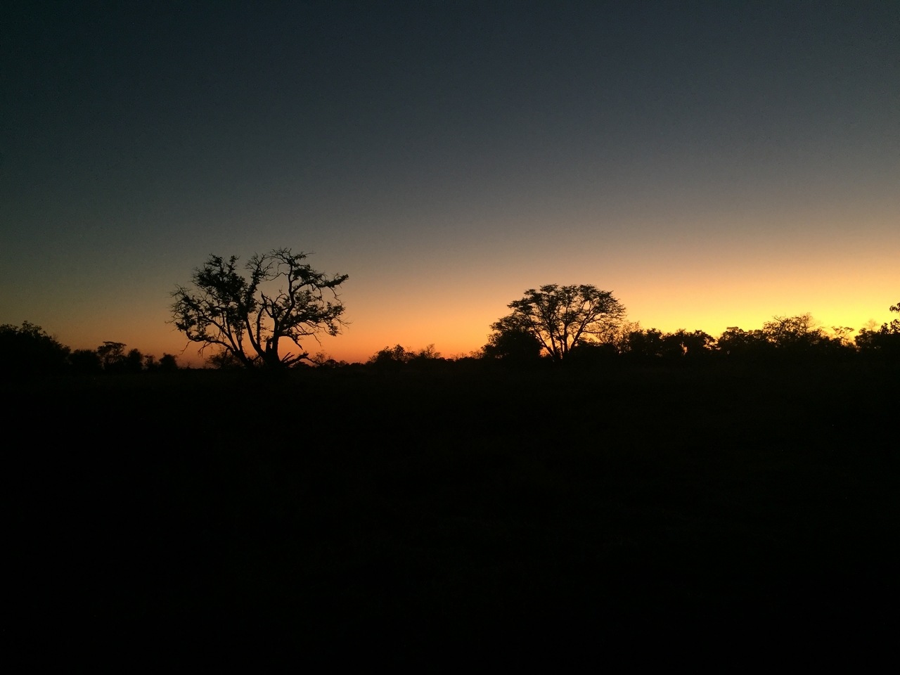 [17334] 2016_06_27_18_23_23_Africa_iPhone_6_IMG_8458_00416.jpg