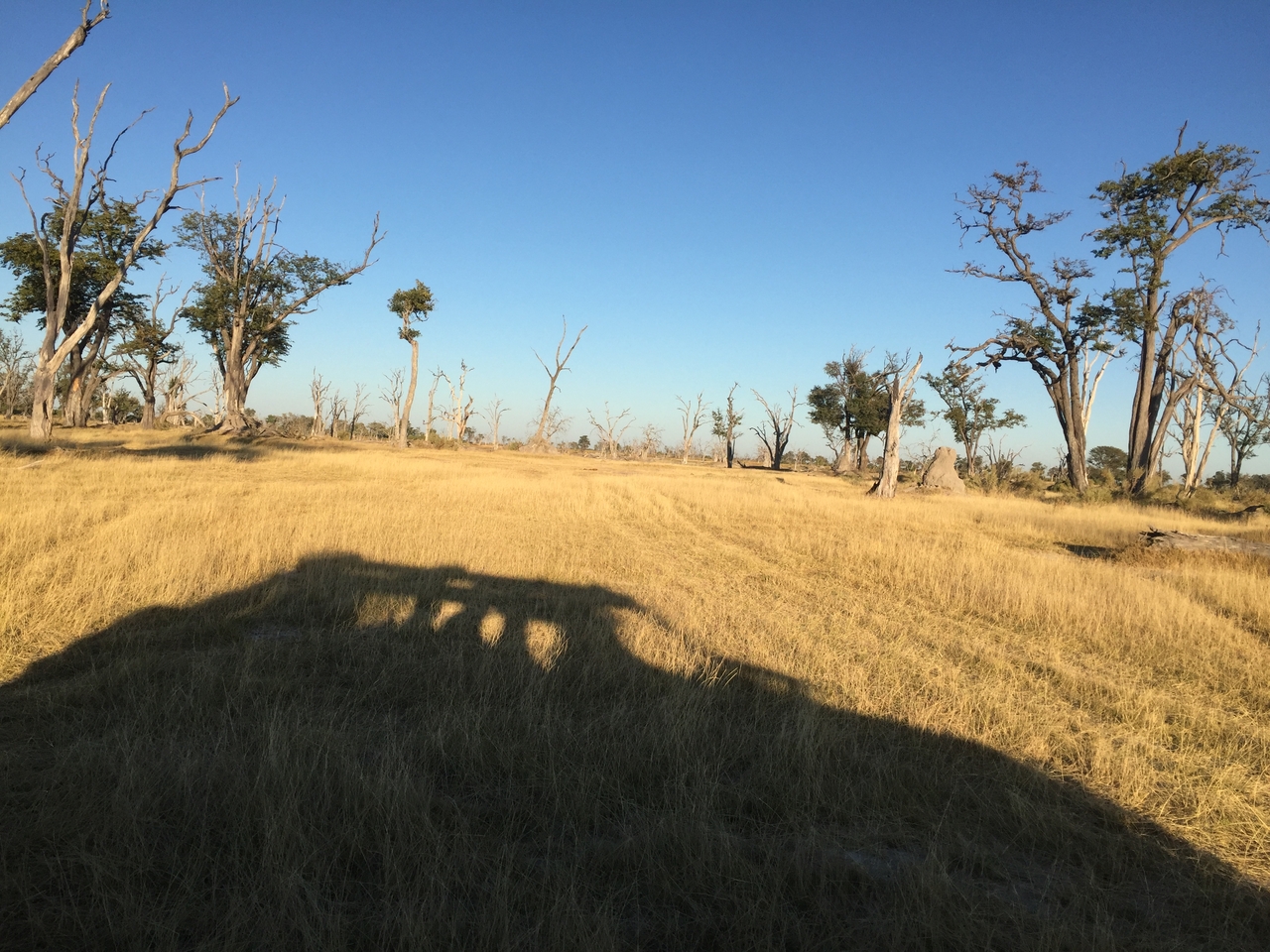 [19841] 2016_06_28_07_44_15_Africa_iPhone_6_IMG_8470_01010.jpg