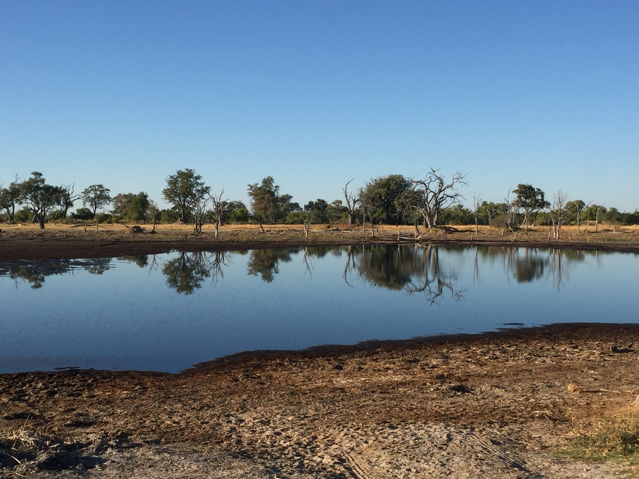 [19860] 2016_06_28_08_05_06_Africa_iPhone_6_IMG_8476_00434.jpg