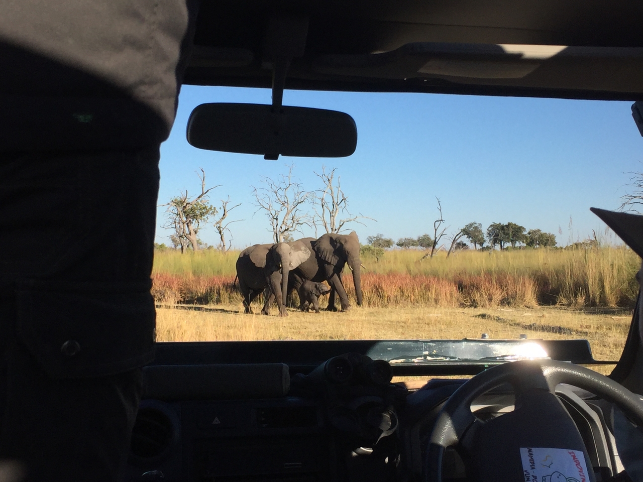 [19877] 2016_06_28_08_20_07_Africa_iPhone_6_IMG_8481_03362.jpg