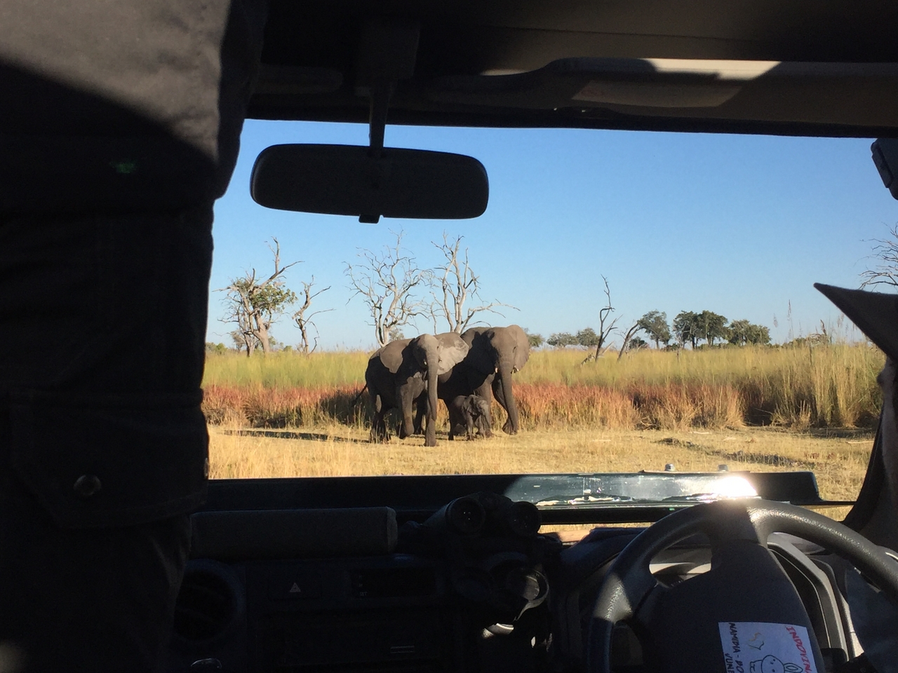 [19879] 2016_06_28_08_20_08_Africa_iPhone_6_IMG_8482_01022.jpg