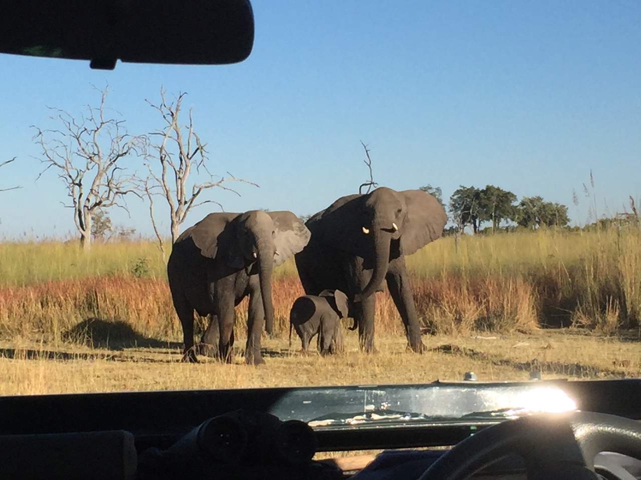 [19886] 2016_06_28_08_20_18_Africa_iPhone_6_IMG_8484_03365.jpg