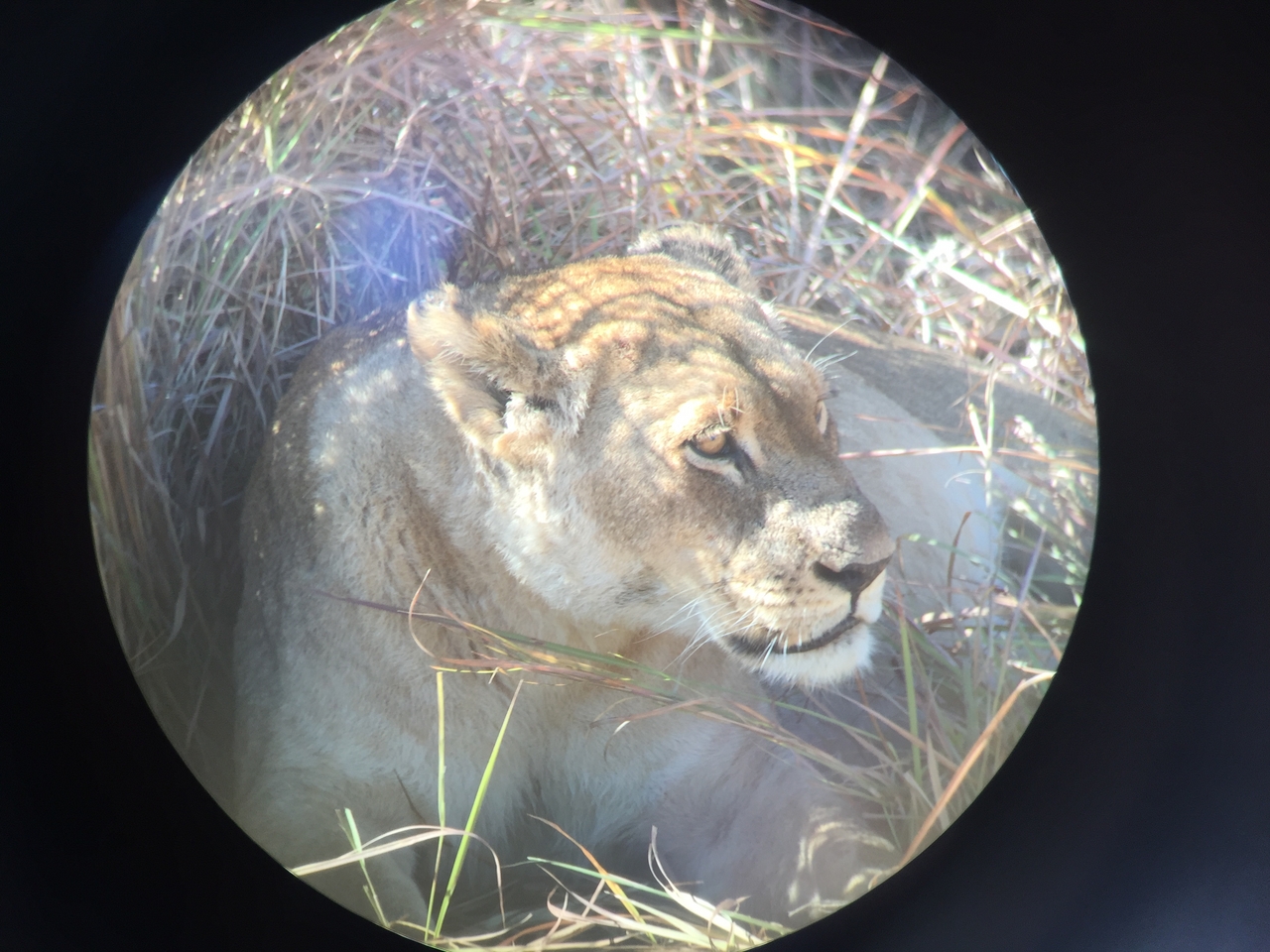 [19920] 2016_06_28_10_03_44_Africa_iPhone_6_IMG_8490_00448.jpg