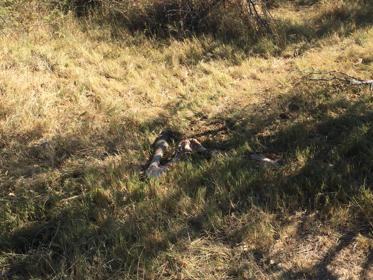 [19939] 2016_06_28_10_14_42_Africa_iPhone_6_IMG_8496_01036.jpg