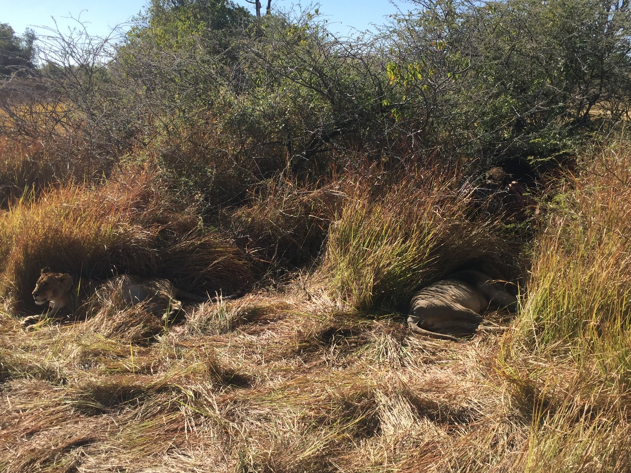 [19959] 2016_06_28_10_17_55_Africa_iPhone_6_IMG_8503_00461.jpg