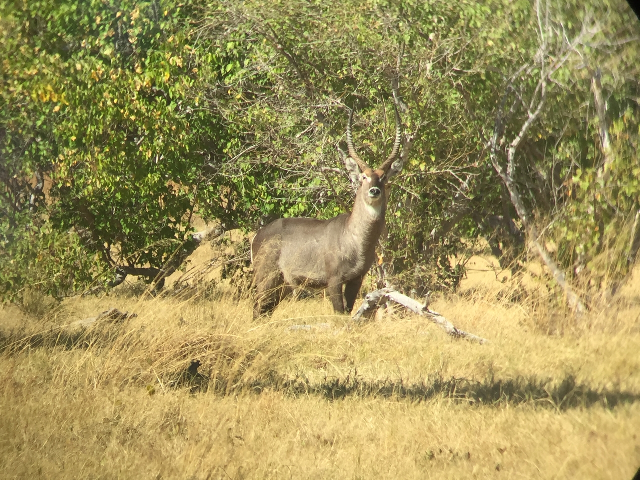 [20066] 2016_06_28_11_11_37_Africa_iPhone_6_IMG_8515_03392.jpg