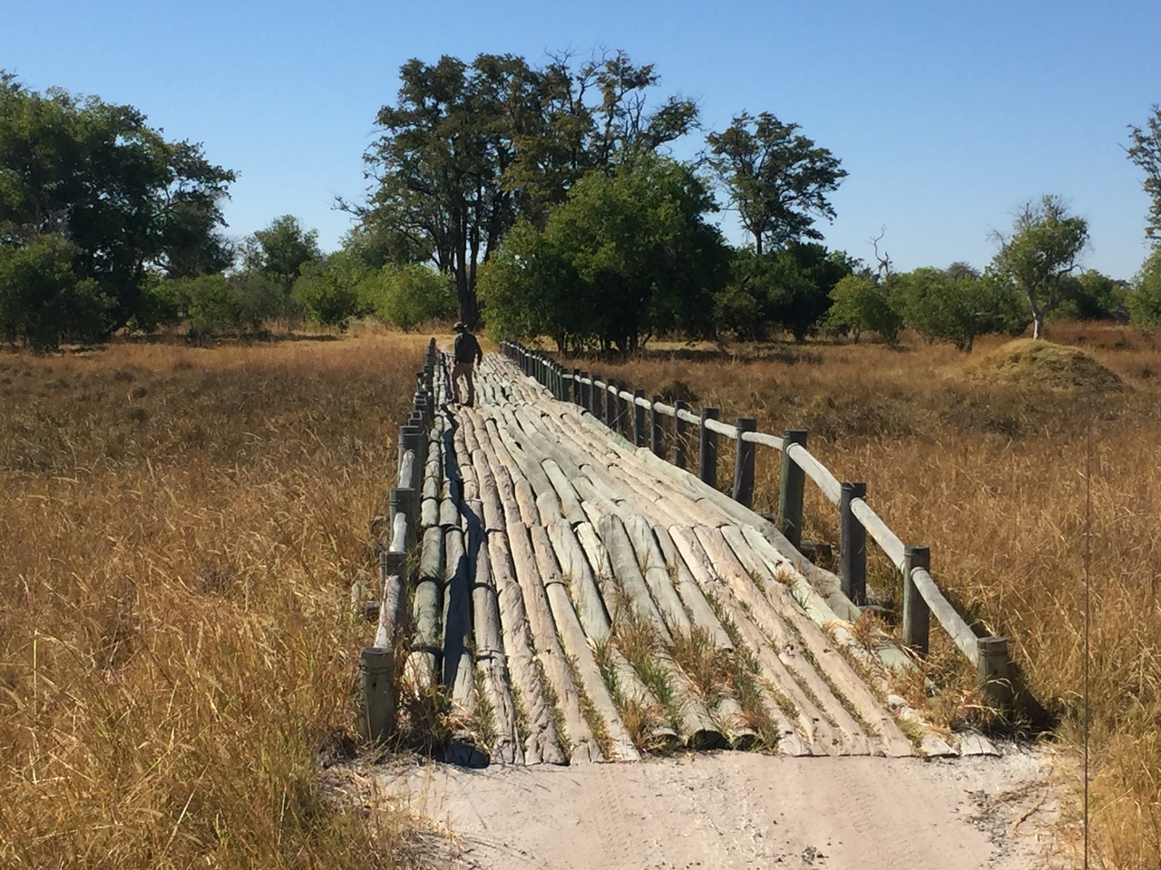 [20069] 2016_06_28_11_16_27_Africa_iPhone_6_IMG_8518_03393.jpg