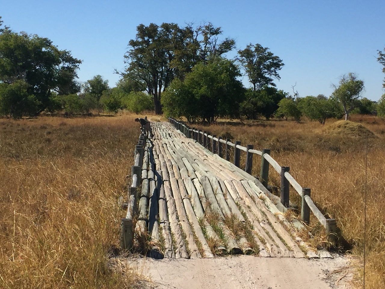 [20074] 2016_06_28_11_16_29_Africa_iPhone_6_IMG_8520_01054.jpg