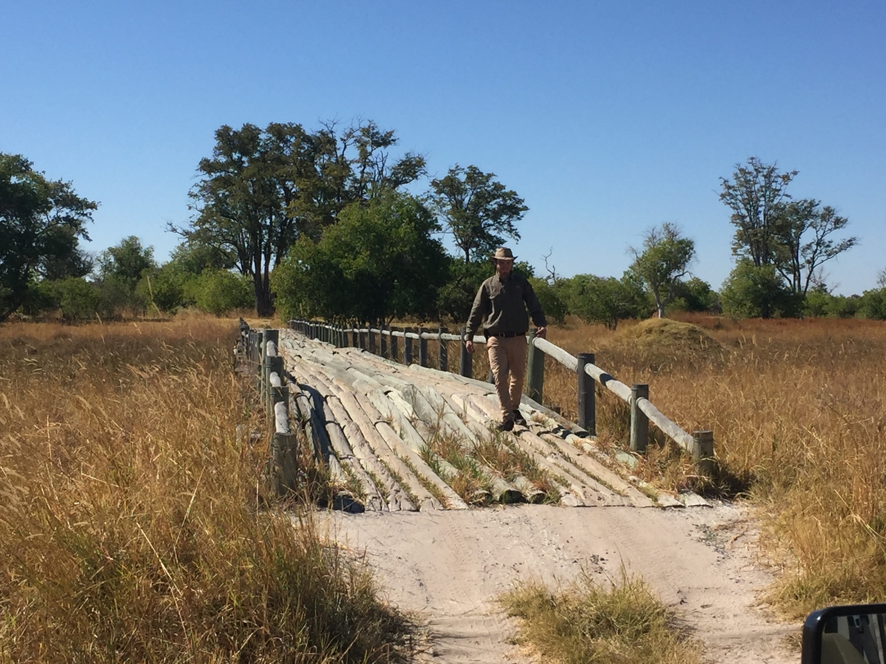 [20076] 2016_06_28_11_17_12_Africa_iPhone_6_IMG_8521_00473.jpg