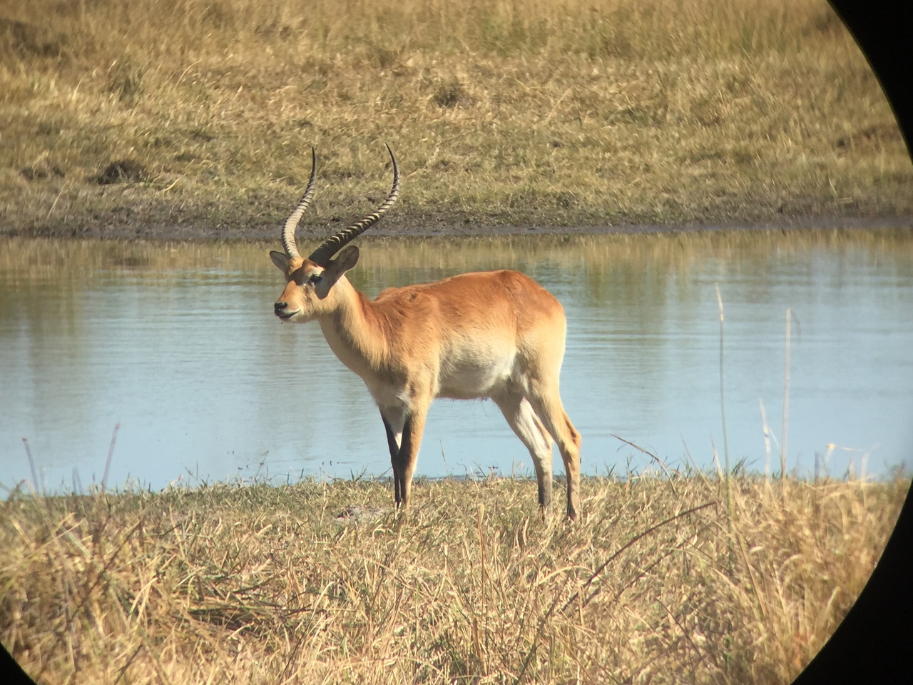 [20084] 2016_06_28_11_32_55_Africa_iPhone_6_IMG_8525_03398.jpg