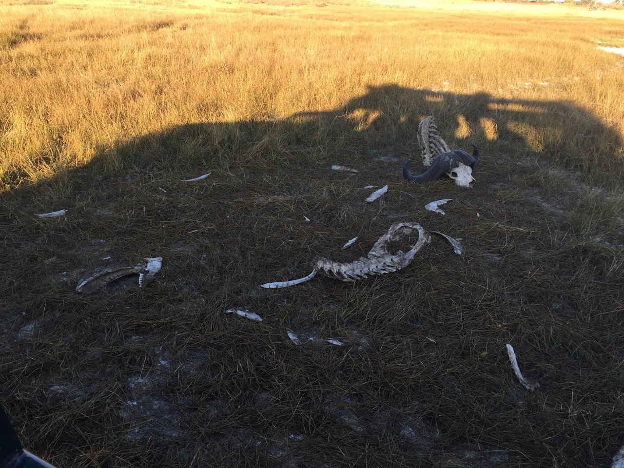 [20415] 2016_06_28_17_06_15_Africa_iPhone_6_IMG_8535_01067.jpg